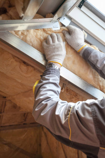 Best Residential Insulation in Brevard, NC